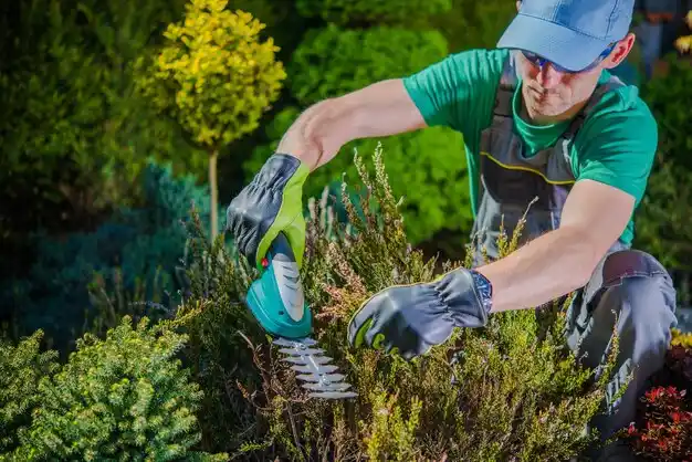 landscaping services Silver Grove